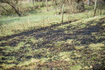 Schorndorf: Die Temperaturen steigen und die ersten Flaechenbraende fordern die Feuerwehr
